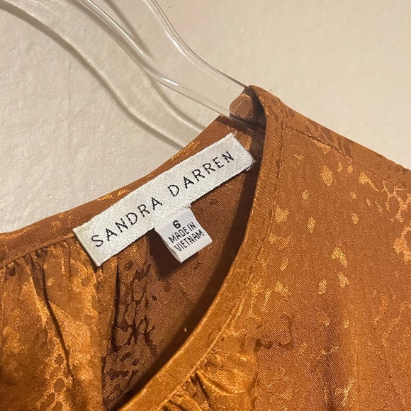 Sandra Darren Rattle Snake Silk Dress - Picture 3 of 11